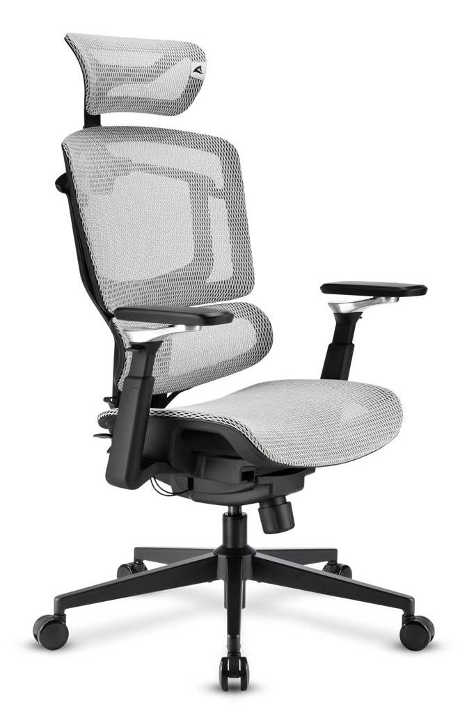 Sharkoon OfficePal C50M, Gepolsterter Sitz, Vernetzte Rückenlehne, Schwarz, Schwarz, Stoff, Schaum, Netz-1
