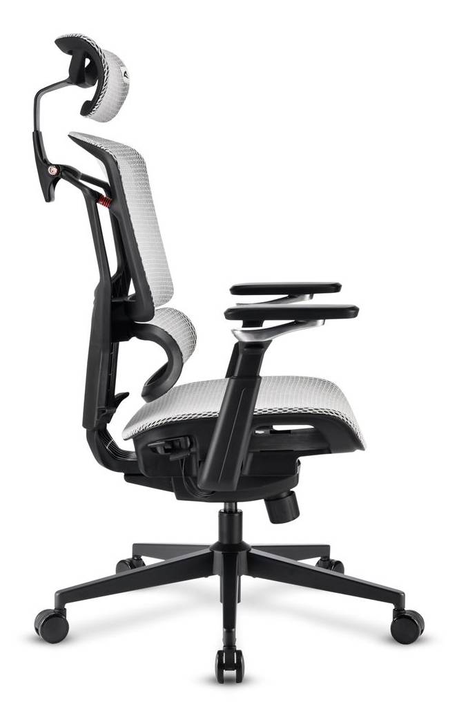 Sharkoon OfficePal C50M, Gepolsterter Sitz, Vernetzte Rückenlehne, Schwarz, Schwarz, Stoff, Schaum, Netz-2