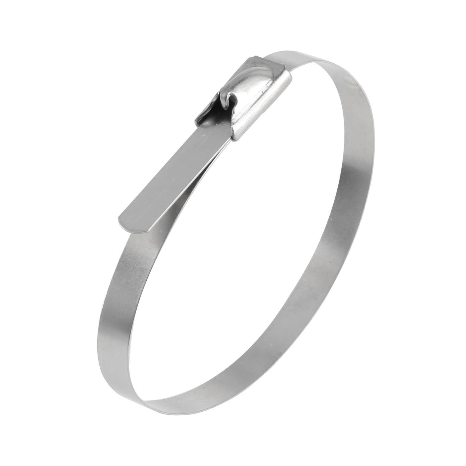 Kabelbinder aus Edelstahl mit Edelstahlzunge VPE 1 Stück Maße L/B/H 290,0mm x 7,9mm, Farbe silber - 1 Stück-0