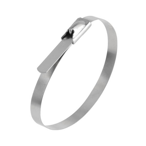 Kabelbinder aus Edelstahl mit Edelstahlzunge VPE 1 Stück Maße L/B/H 290,0mm x 7,9mm, Farbe silber - 1 Stück