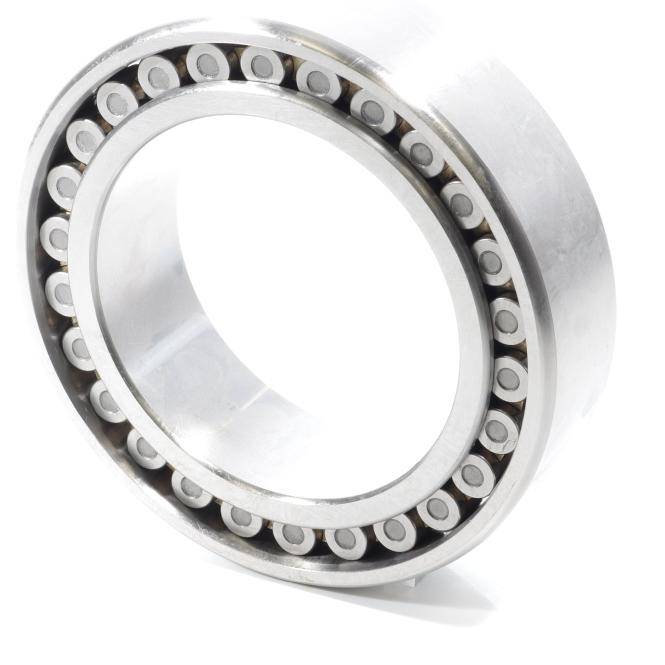 NSK Doppel-Reihiges Zylinderrollenlager WB-18 (NN3022TBKRCC0P4)-0