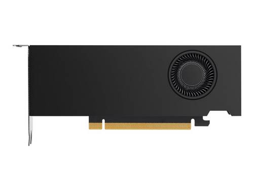 HP - NVIDIA RTX A2000 - Grafikkarte - RTX A2000