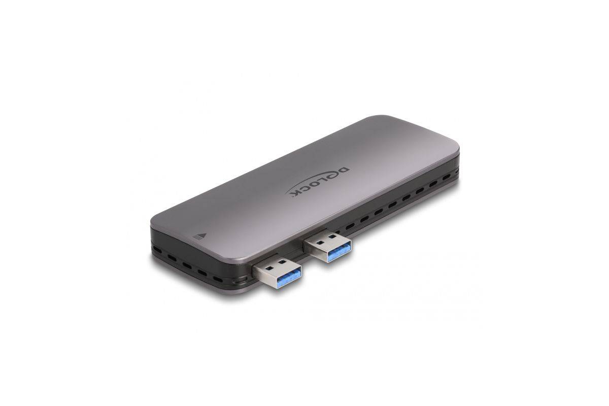 Delock USB 3.2 Gen 2 Gehäuse für PlayStation 5 mit M.2 NVMe Slot Digital/Daten-0