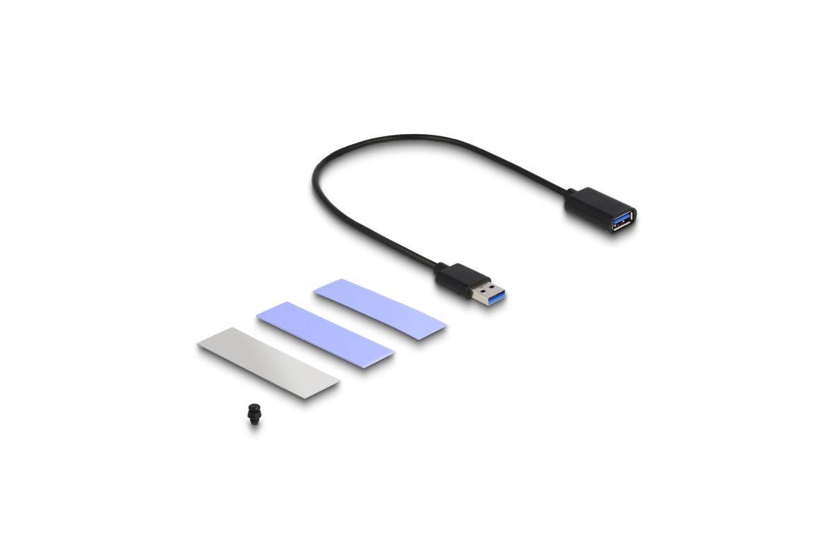 Delock USB 3.2 Gen 2 Gehäuse für PlayStation 5 mit M.2 NVMe Slot Digital/Daten-1