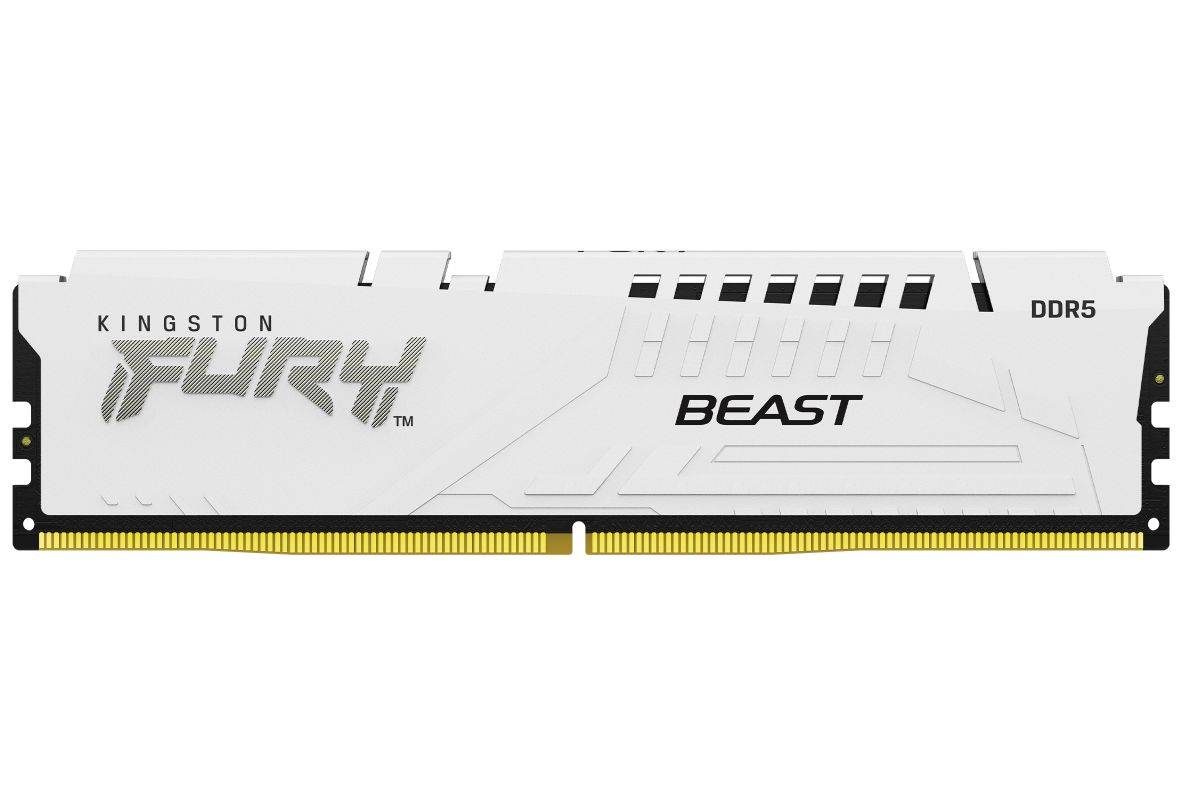 Kingston D5 64 GB 5600-36 Beast EXPO wh K2 KFY AMD DDR5 DIMM CL36-2