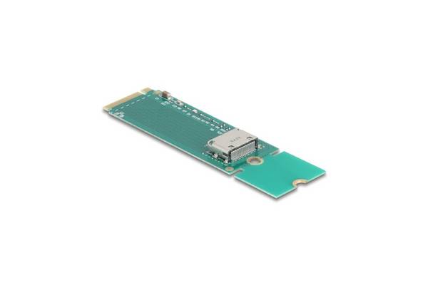 Delock Schnittstellenadapter - M.2 Schlüssel