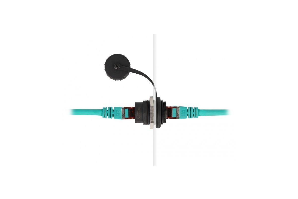 Delock Einrastmodul - mit Staubschutzkappe-1
