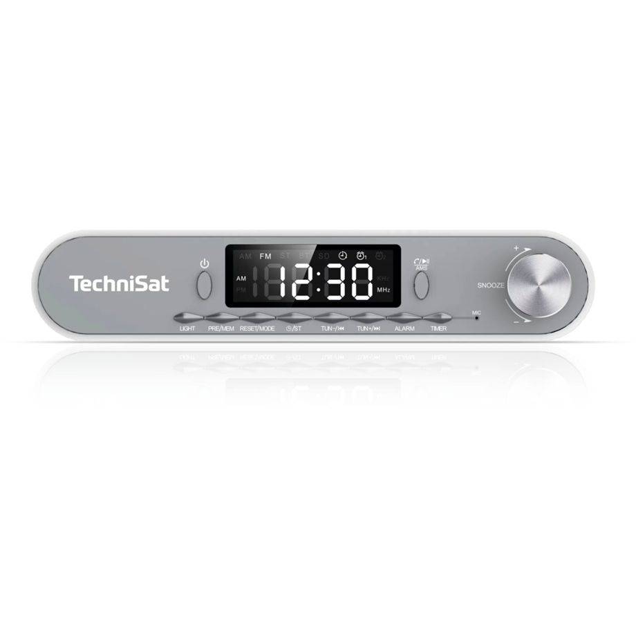 Technisat Viola silber-1