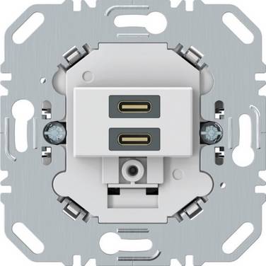 Berker USB Ladesteckdose 270419