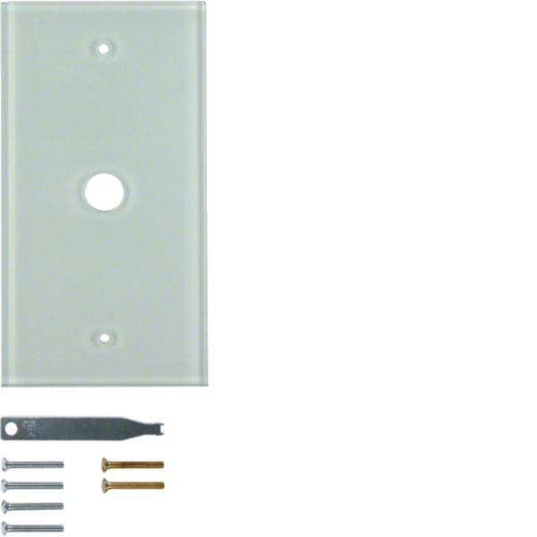 Hager Glasabdeckplatte 1f. WZD7100GW