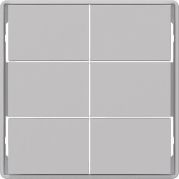 Berker Tasten für Tastsensormodul 81183024-0