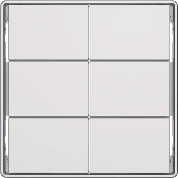 Berker Tasten für Tastsensormodul 81183029