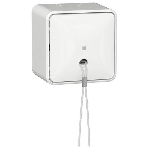 Gira Zugschalter AusWe + 314613