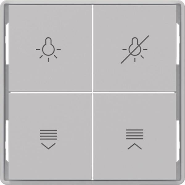 Berker Tasten für Tastsensormodul 81182224-0
