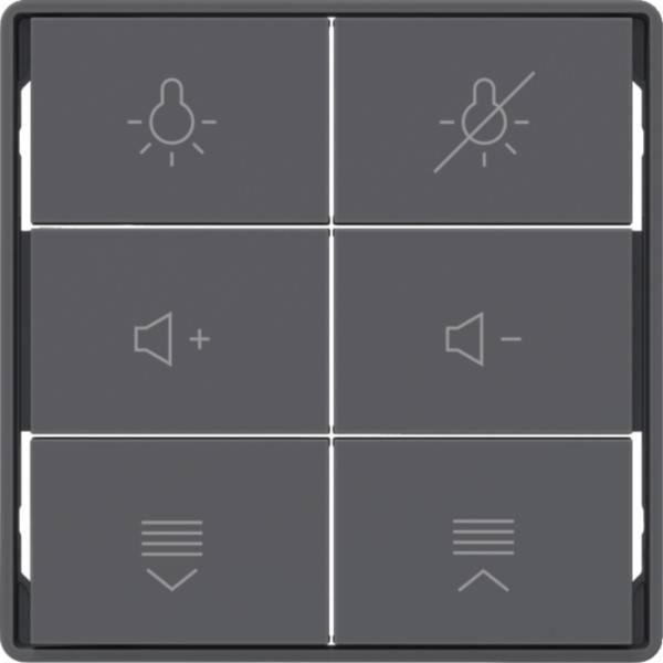 Berker Tasten für Tastsensormodul 81183126