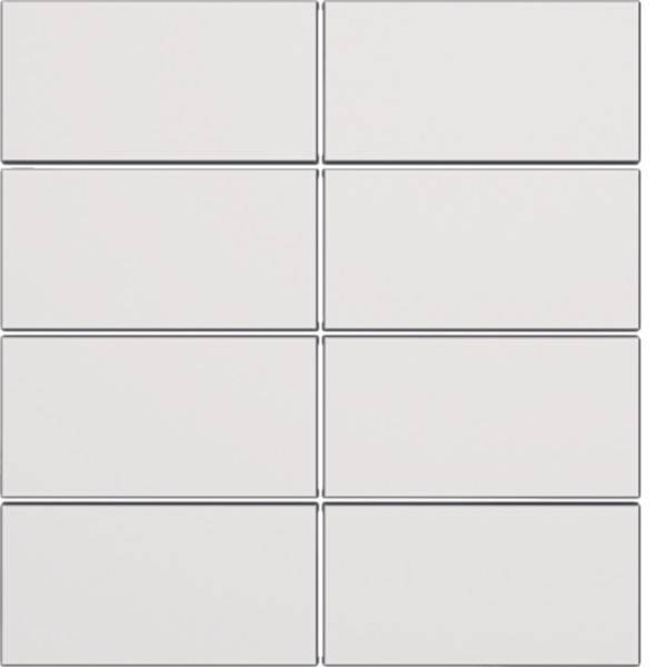 Berker Tasten für Tastsensormodul 81184089