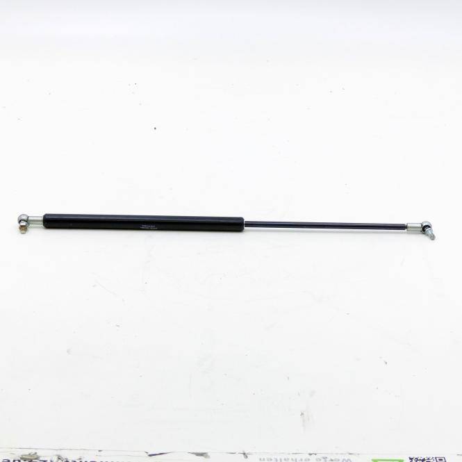 ACE Gasdruckfeder (GS-22-250-CC / 270N)-2