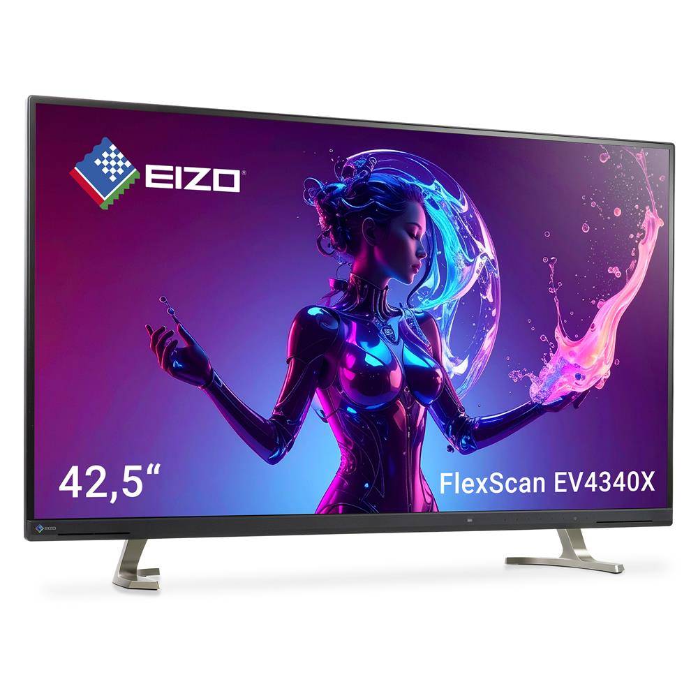 EIZO FlexScan EV4340X-BK 108cm 42.5" 4K UHD Monitor IPS USB-C Dock KVM DICOM PW94W Schwarz-0