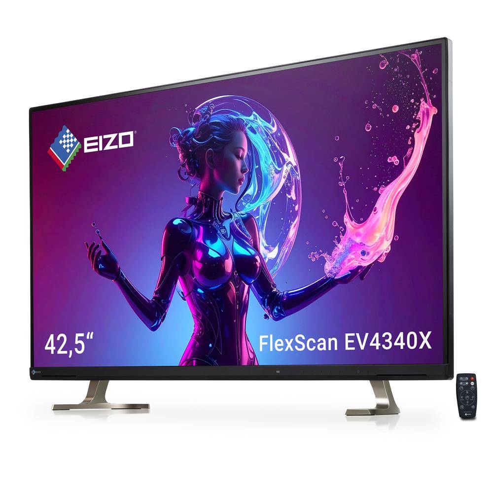 EIZO FlexScan EV4340X-BK 108cm 42.5" 4K UHD Monitor IPS USB-C Dock KVM DICOM PW94W Schwarz-2