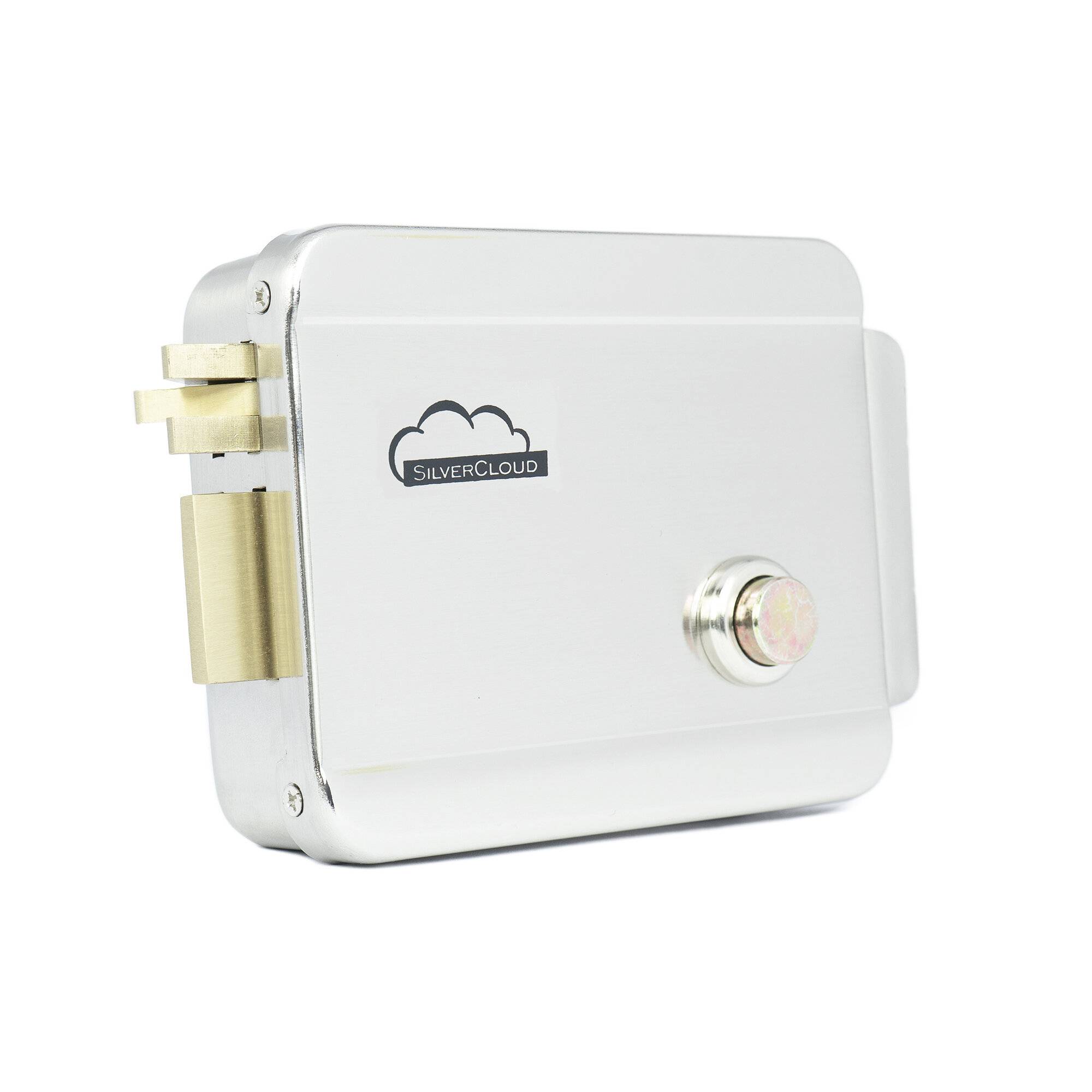 SilverCloud YR300 Elektromagnetische Yala mit Nabe, Öffnung auf der rechten Seite, Fail Secure NC-2