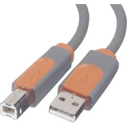 Image of Belkin USB-Kabel USB 2.0 USB-A Stecker, USB-B Stecker 3.00 m Grau vergoldete Steckkontakte, UL-zertifiziert