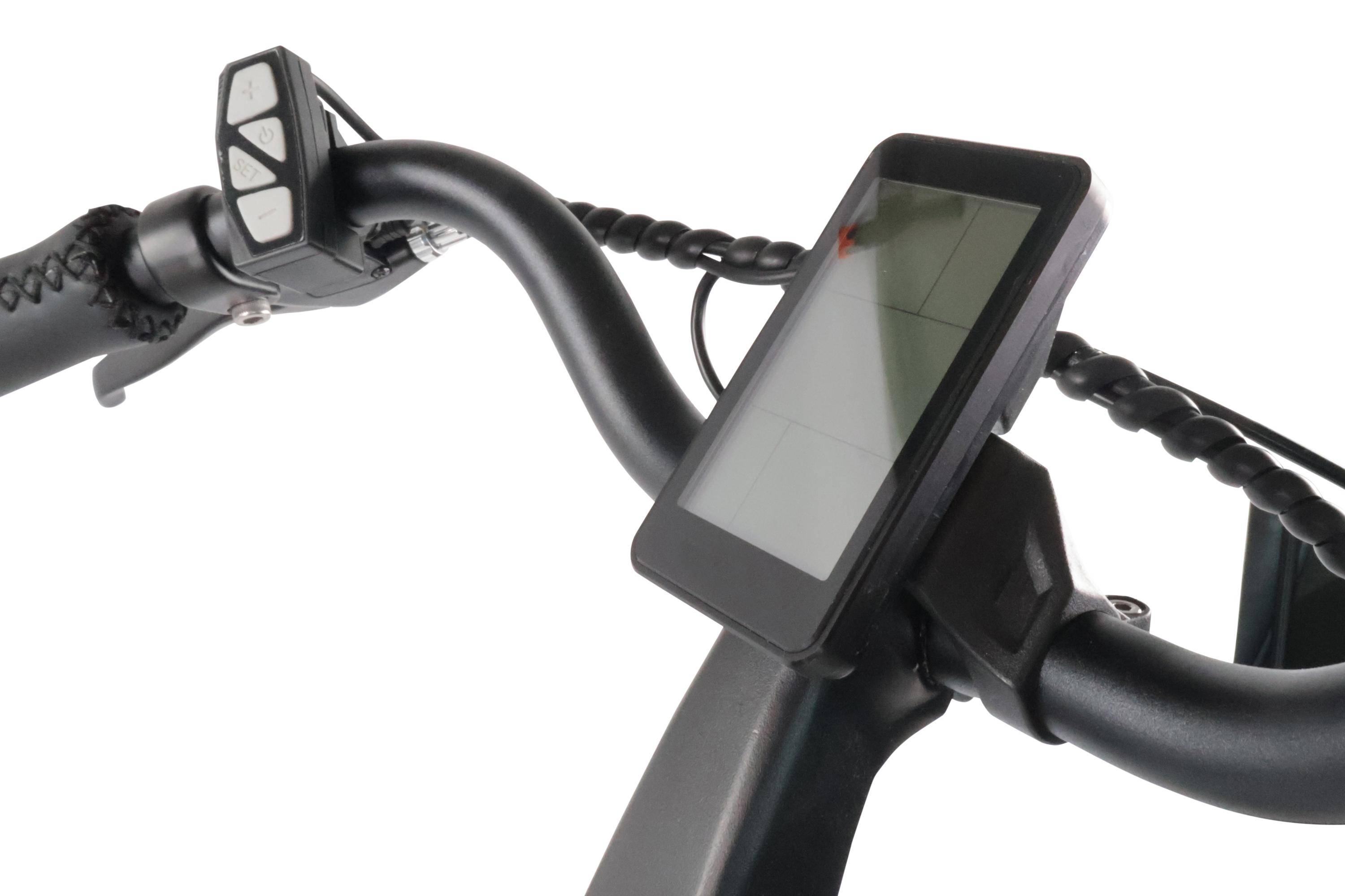 Sharp BK CD042-EB, black (B) City-E-Bike-2