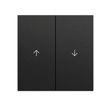 Gira Wippe 2f Pfeil System 70 329474