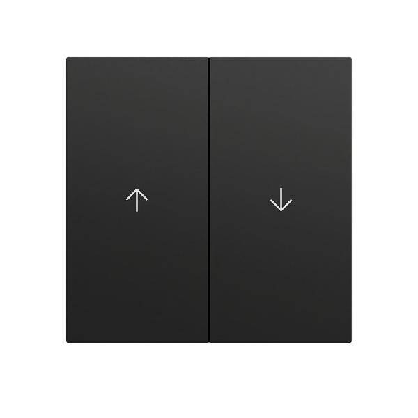Gira Wippe 2f Pfeil System 70 329474-0