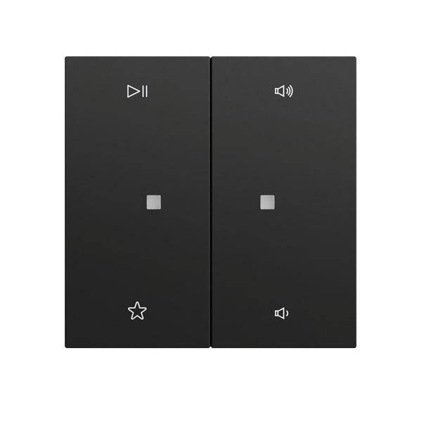 Gira Wippe 2f Audiostrg System 538474-0