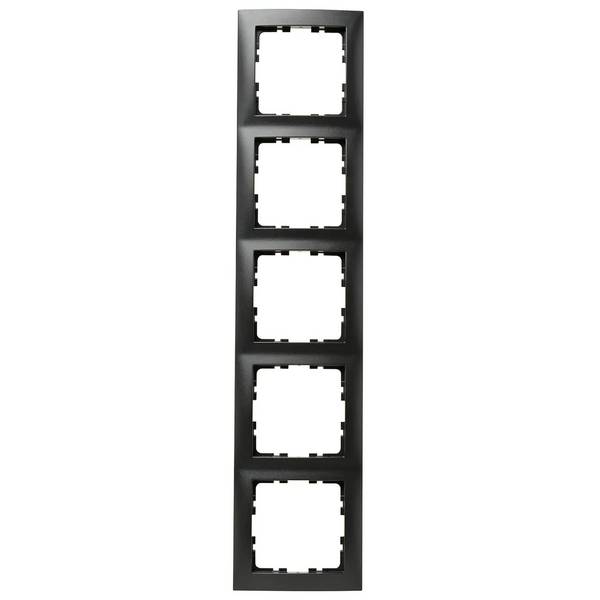 Berker Rahmen 5fach anth matt 10159949