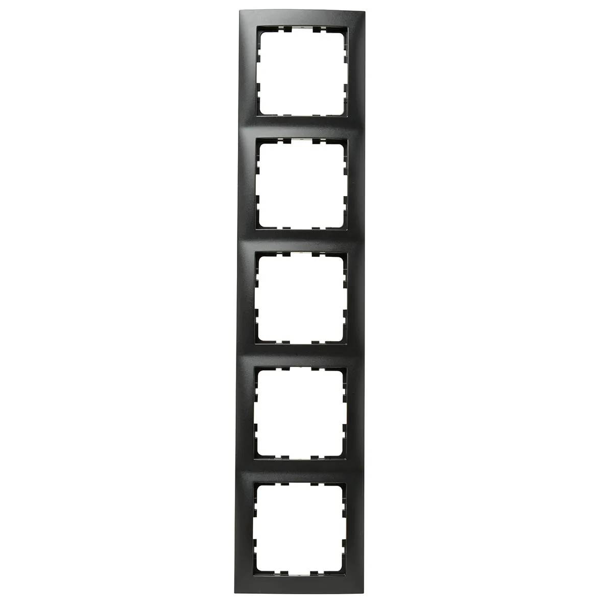 Berker Rahmen 5fach anth matt 10159949-0