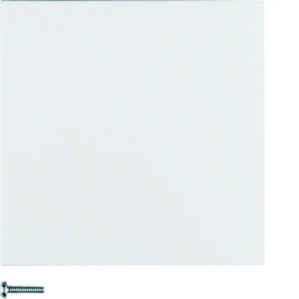 Berker Taste 85141188 1fach polarweiss matt-0
