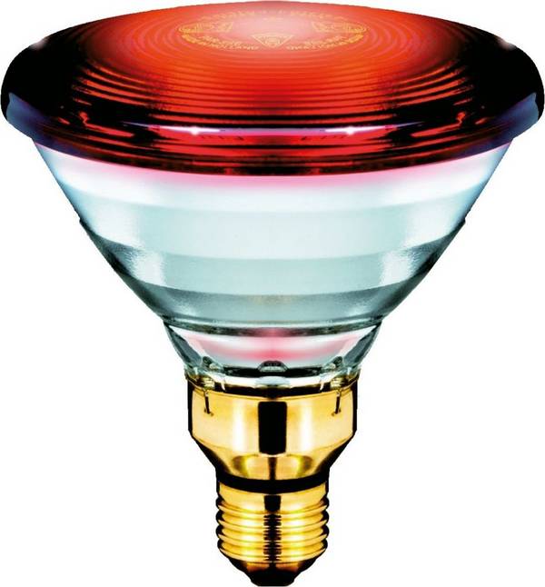 20 Stk. Philips Lighting Infrarotlampe