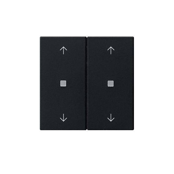 Gira Wippe 2-fach 5386005-0