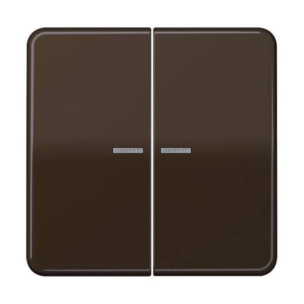 Jung Taster 2fach BT CD 17102 BR