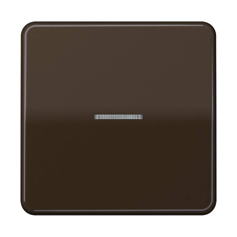 Jung Taster 1fach BT CD 17101 BR-0