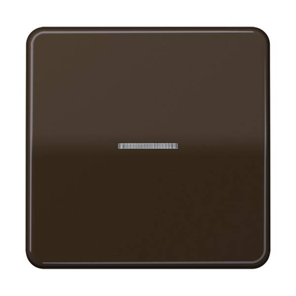 Jung Taster 1fach BT CD 17101 BR