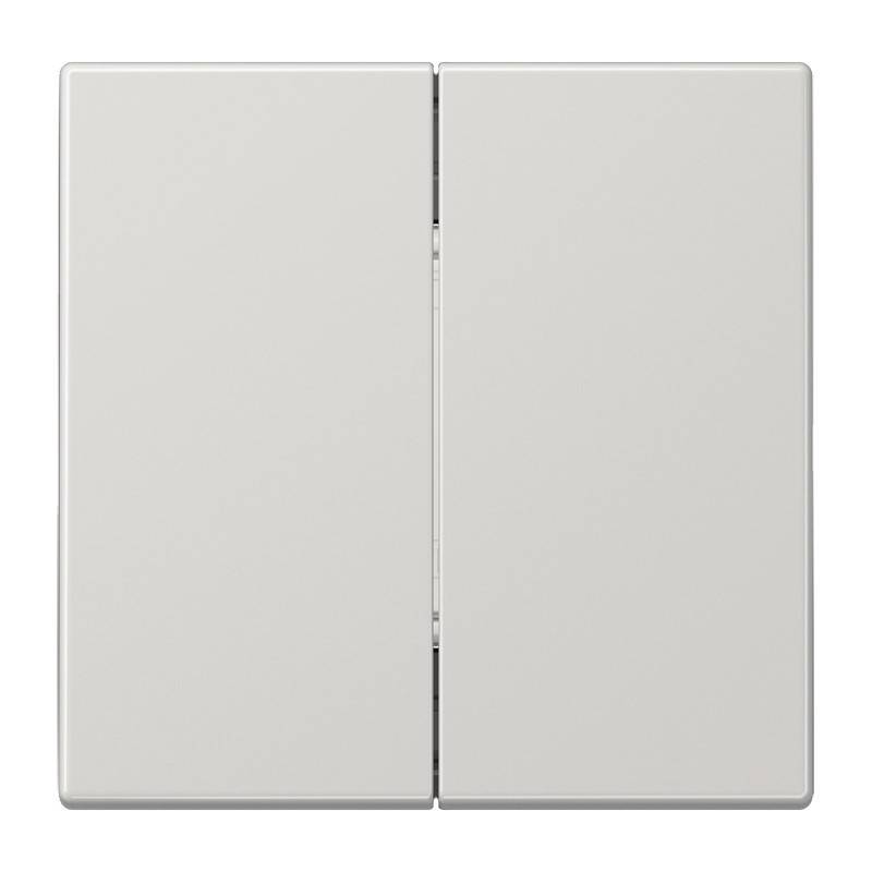 Jung Matter Taster 2f MAT LS 995 LG-0