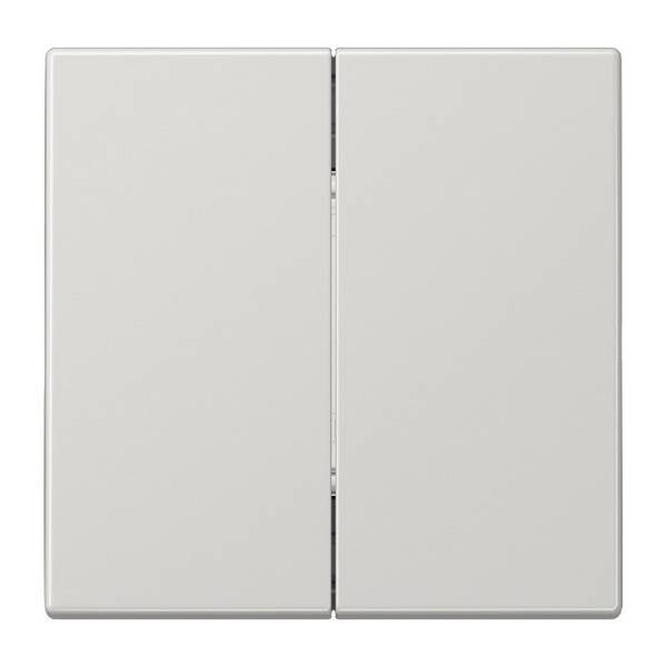 Jung Matter Taster 2f MAT LS 995 LG