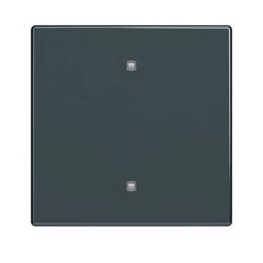 Busch-Jaeger Wippe 2570-10-81