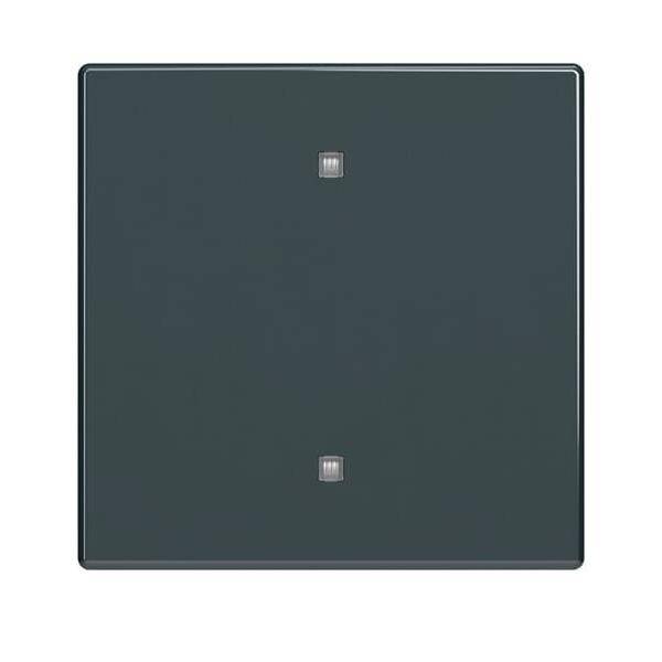 Busch-Jaeger Wippe 2570-10-81-0