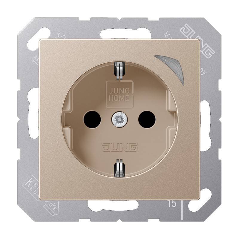 Jung SCHUKO Steckdose BT A 1521 SE CH-0