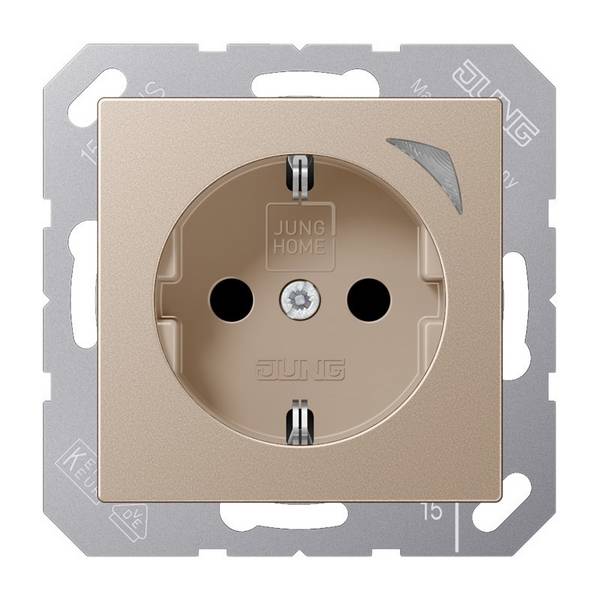 Jung SCHUKO Steckdose BT A 1521 SE CH