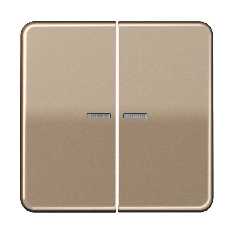 Jung Taster 2fach BT CD 17102 GB-0