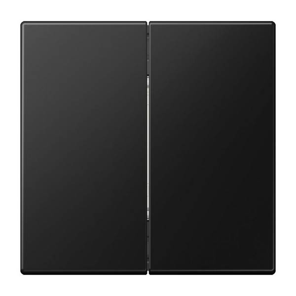 Jung Matter Taster 2f MAT LS 995 SWM