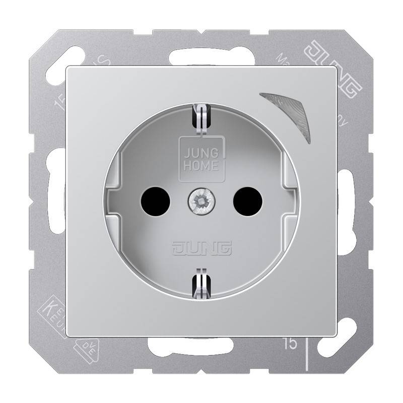 Jung SCHUKO Steckdose BT A 1521 S AL-0