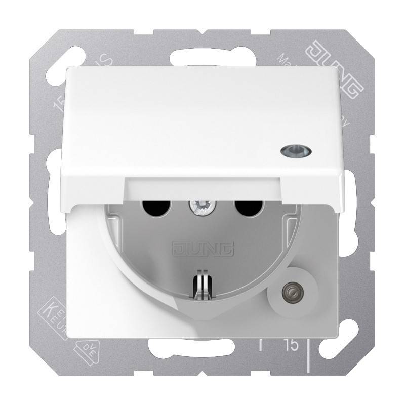 Jung SCHUKO Steckdose 16 A 250V SPAS 1520 KLKO WW-0