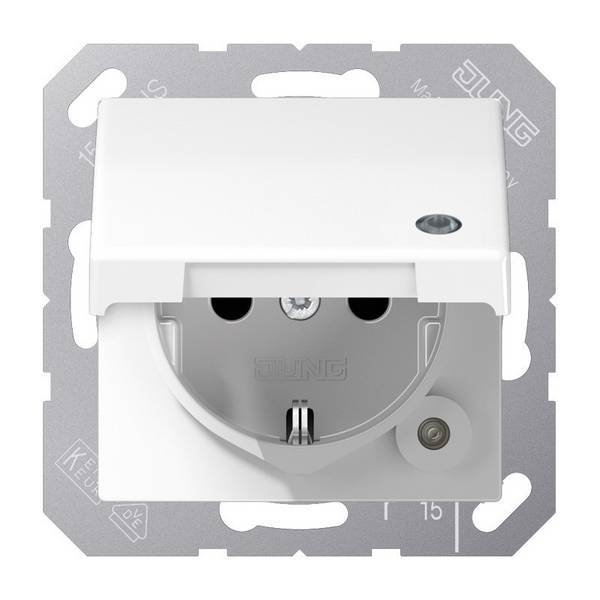 Jung SCHUKO Steckdose 16 A 250V SPAS 1520 KLKO WW