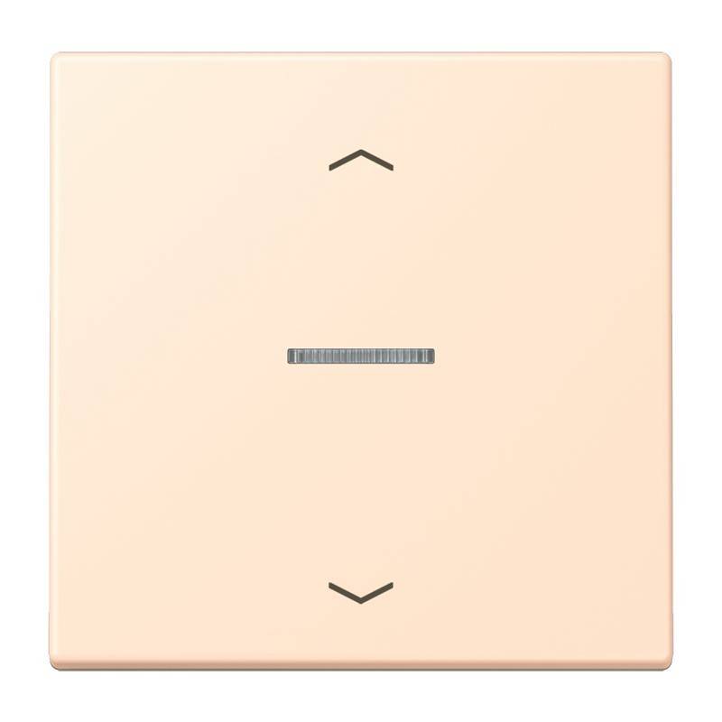Jung eNet Taster Standard 1fach FM LC 1700 P 238-0