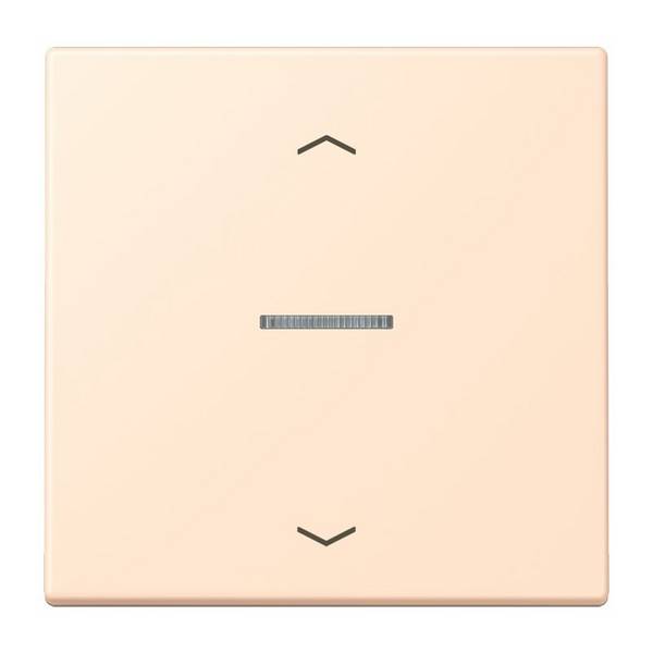 Jung eNet Taster Standard 1fach FM LC 1700 P 238